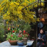 京都大原の庭とキッチンから ベニシアさんの手づくり暮らし展｜松屋銀座